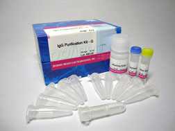 IgG Purification Kit - G