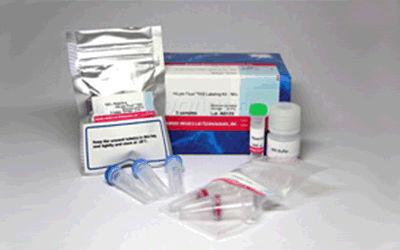 HiLyte Fluor™ 555 Labeling Kit - NH<sub>2</sub>