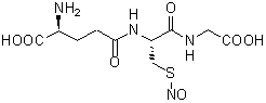 <em>S</em>-Nitrosoglutathione