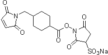 Sulfo-SMCC