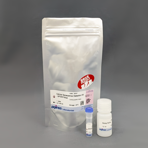Cellular Senescence Detection Kit - SPiDER Blue