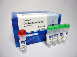 -Cellstain- Double Staining Kit