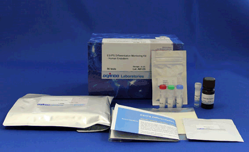 ES/iPS Differentiation Monitoring Kit - Human Endoderm