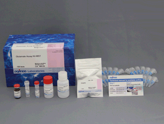 Glutamate Assay Kit-WST