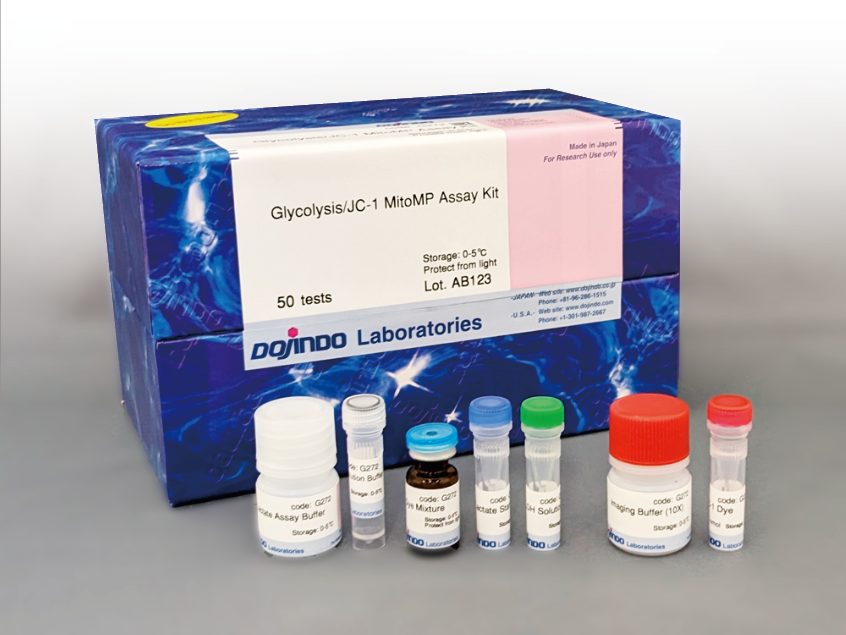 Glycolysis/JC-1 MitoMP Assay Kit