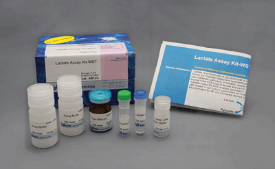 Lactate Assay Kit-WST