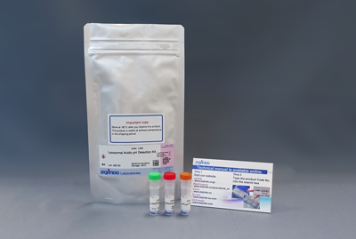 Lysosomal Acidic pH Detection Kit