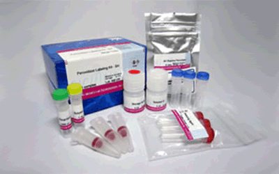 Peroxidase Labeling Kit - SH