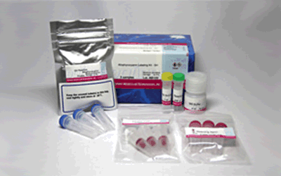 Allophycocyanin Labeling Kit - SH
