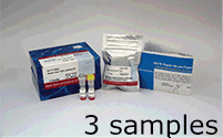Ab-10 Rapid HiLyte Fluor™ 555 Labeling Kit