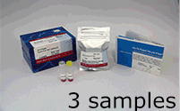 Ab-10 Rapid HiLyte Fluor™ 647 Labeling Kit