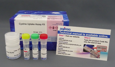 Cystine Uptake Assay Kit