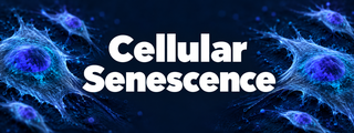 Cellular Senecence