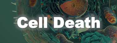 Cell Death