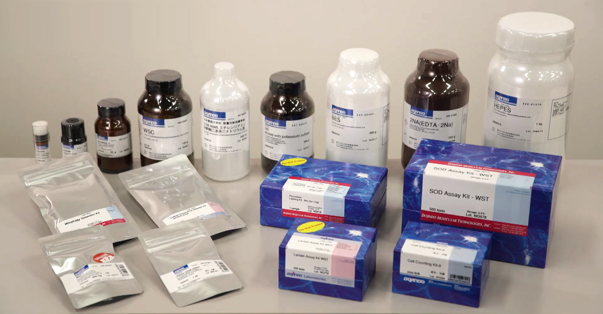 Viability/Cytotoxicity Multiplex Assay Kit CK17 manual | DOJINDO Viability/Cytotoxicity Multiplex Assay Kit CK17 manual | DOJINDO