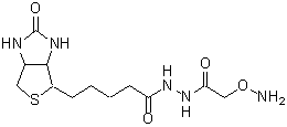 ARP(Aldehyde Reactive Probe)