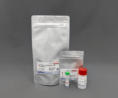  Annexin V Apoptosis Plate Assay Kit