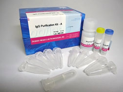 IgG Purification Kit - A