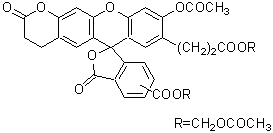 BCECF-AM