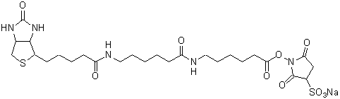 Biotin-(AC<sub>5</sub>)<sub>2</sub> Sulfo-OSu