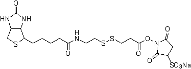 Biotin-SS-Sulfo-OSu