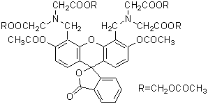 -Cellstain- Calcein-AM