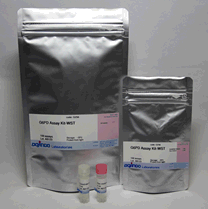 Glucose-6-Phosphate Dehydrogenase Activity Assay Kit G6PD Assay 