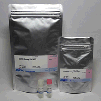 G6PD Assay Kit-WST