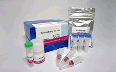 Biotin Labeling Kit - NH<sub>2</sub>
