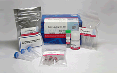 Biotin Labeling Kit - SH