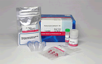 Allophycocyanin Labeling Kit - NH<sub>2</sub>