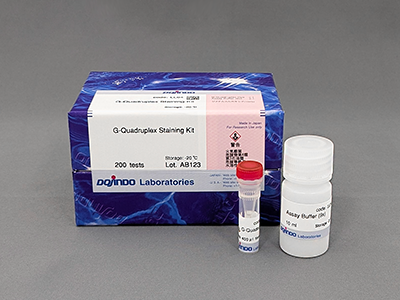 G-Quadruplex Staining Kit