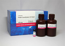 <i>-Proteostain-</i>Protein Quantification Kit-Rapid