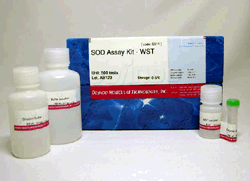 SOD Assay Kit - WST